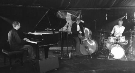 Stefan Orins trio